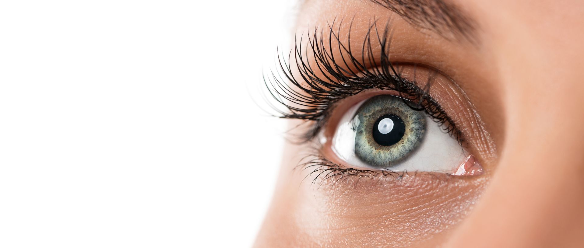 ojo femenino natural | cirugia plastica de ojos y cejas
