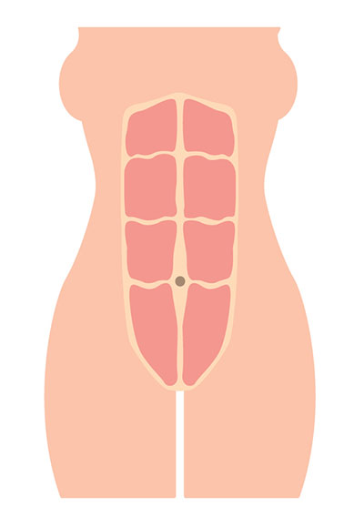 normal abdomen