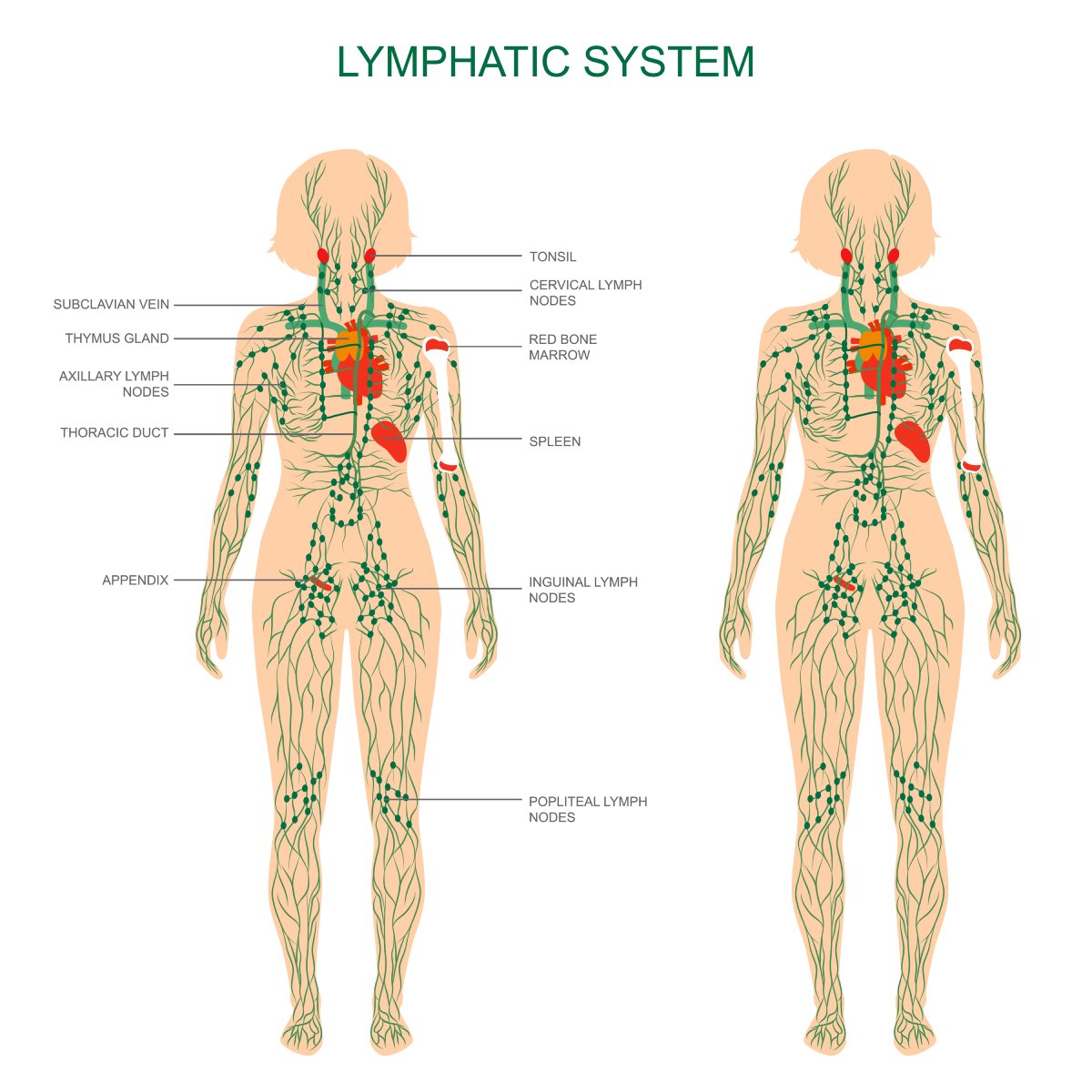 lymphatic drainage massage treatment